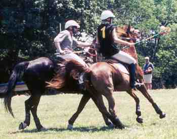 Dale Haysom and Gary Gittelson